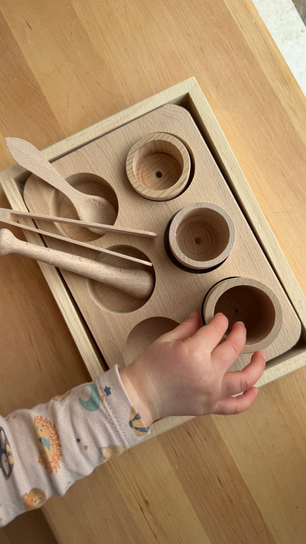 Entdecker-Set aus Holz – Sortieren, Greifen & Experimentieren