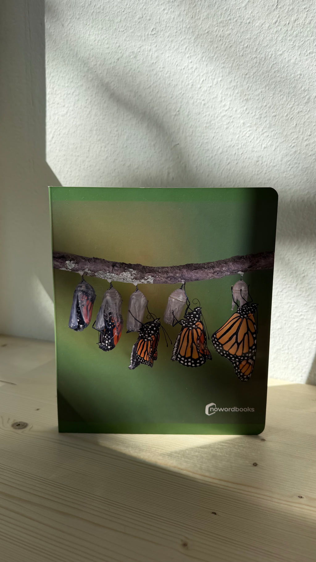 Lebenszyklen verstehen – Bilderbuch für Kinder (z. B. Schmetterling)