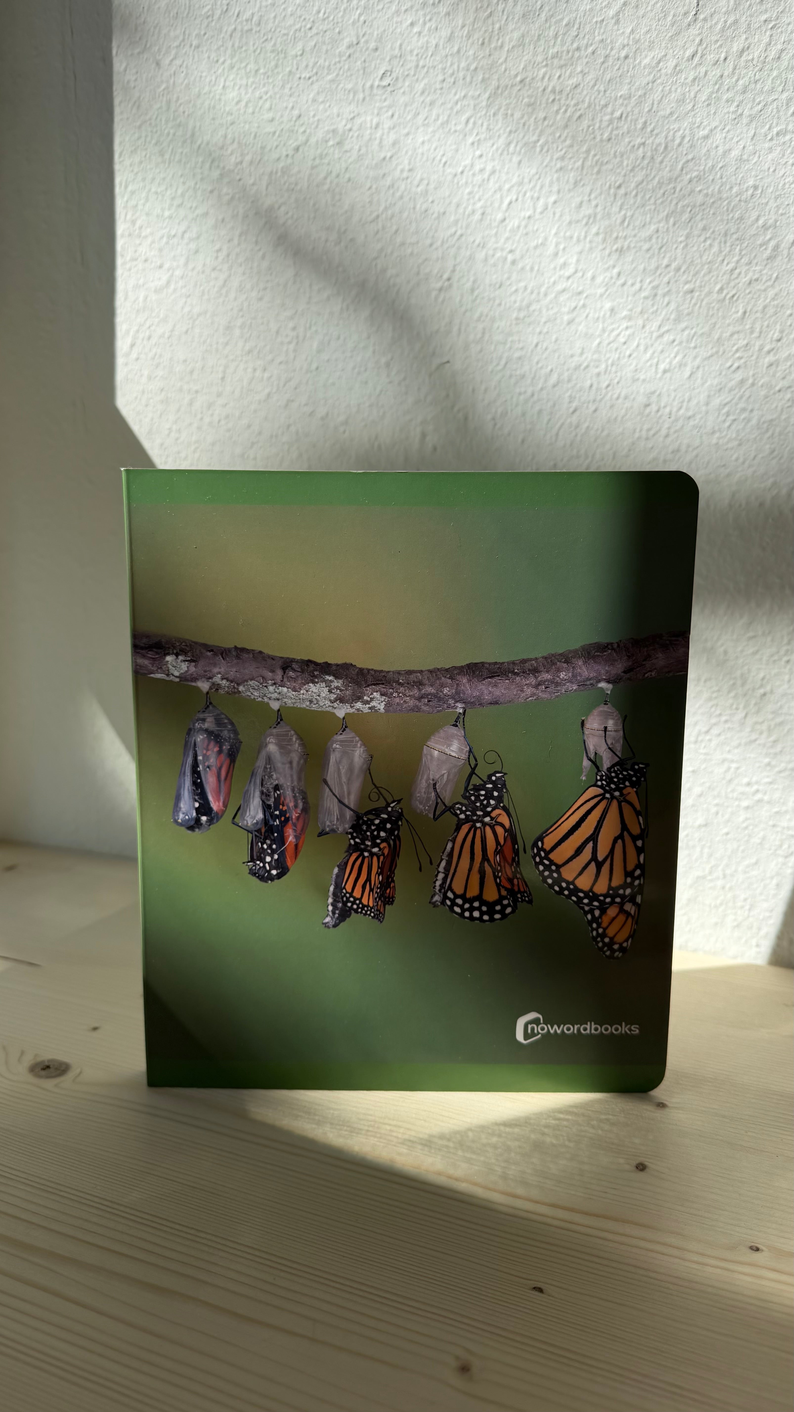 Lebenszyklen verstehen – Bilderbuch für Kinder (z. B. Schmetterling)