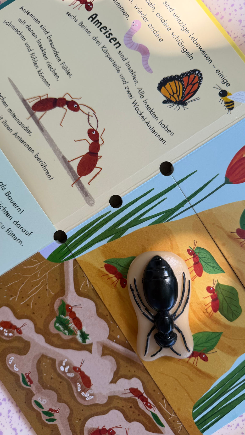 Insekten-Steine Set – 12 Sinnessteine