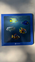 Fische finden Wortloses Bilderbuch