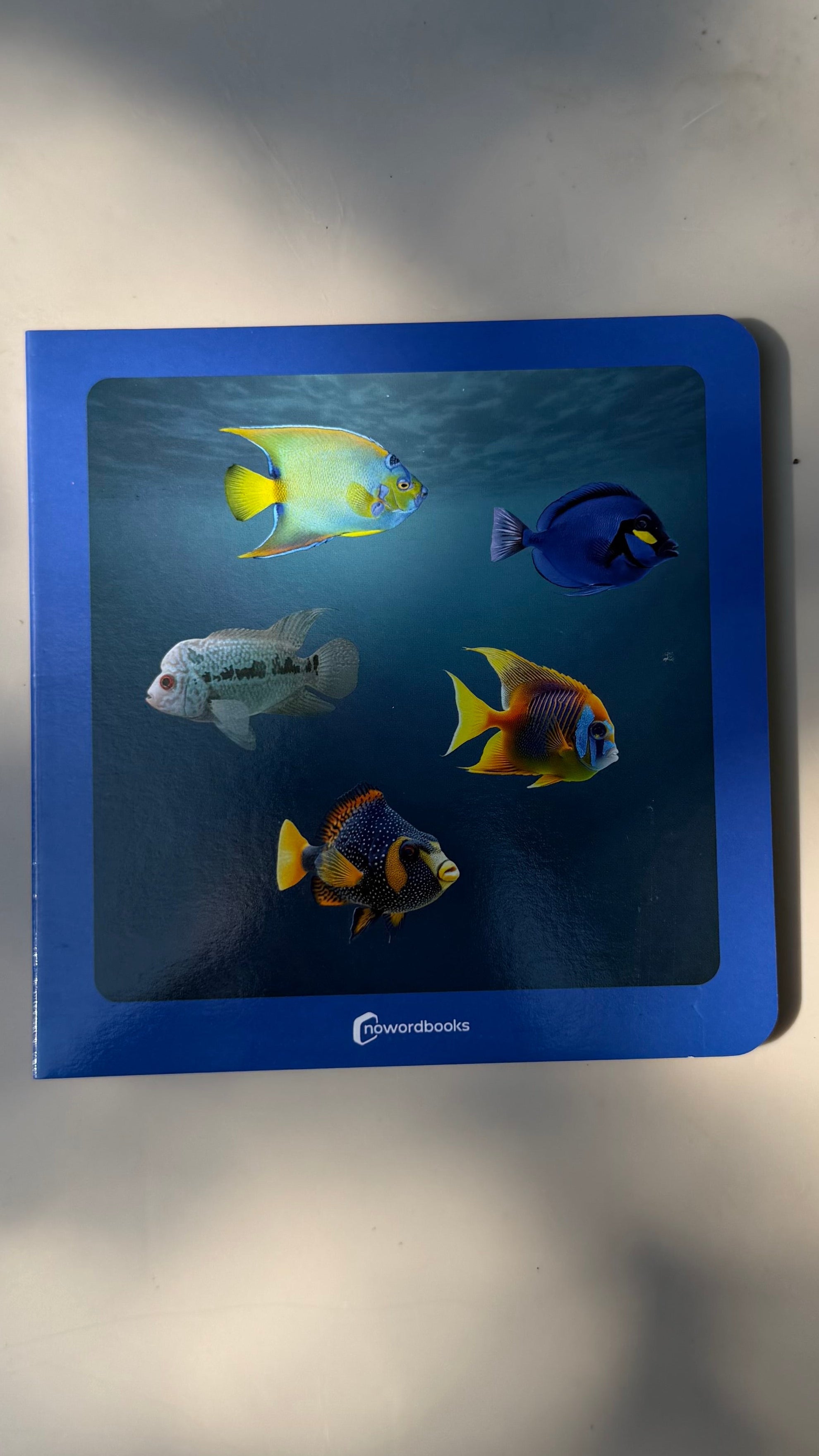 Fische finden Wortloses Bilderbuch