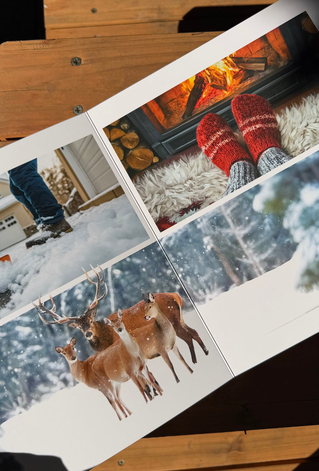 Winter – Bilderbuch zum Entdecken der Jahreszeit
