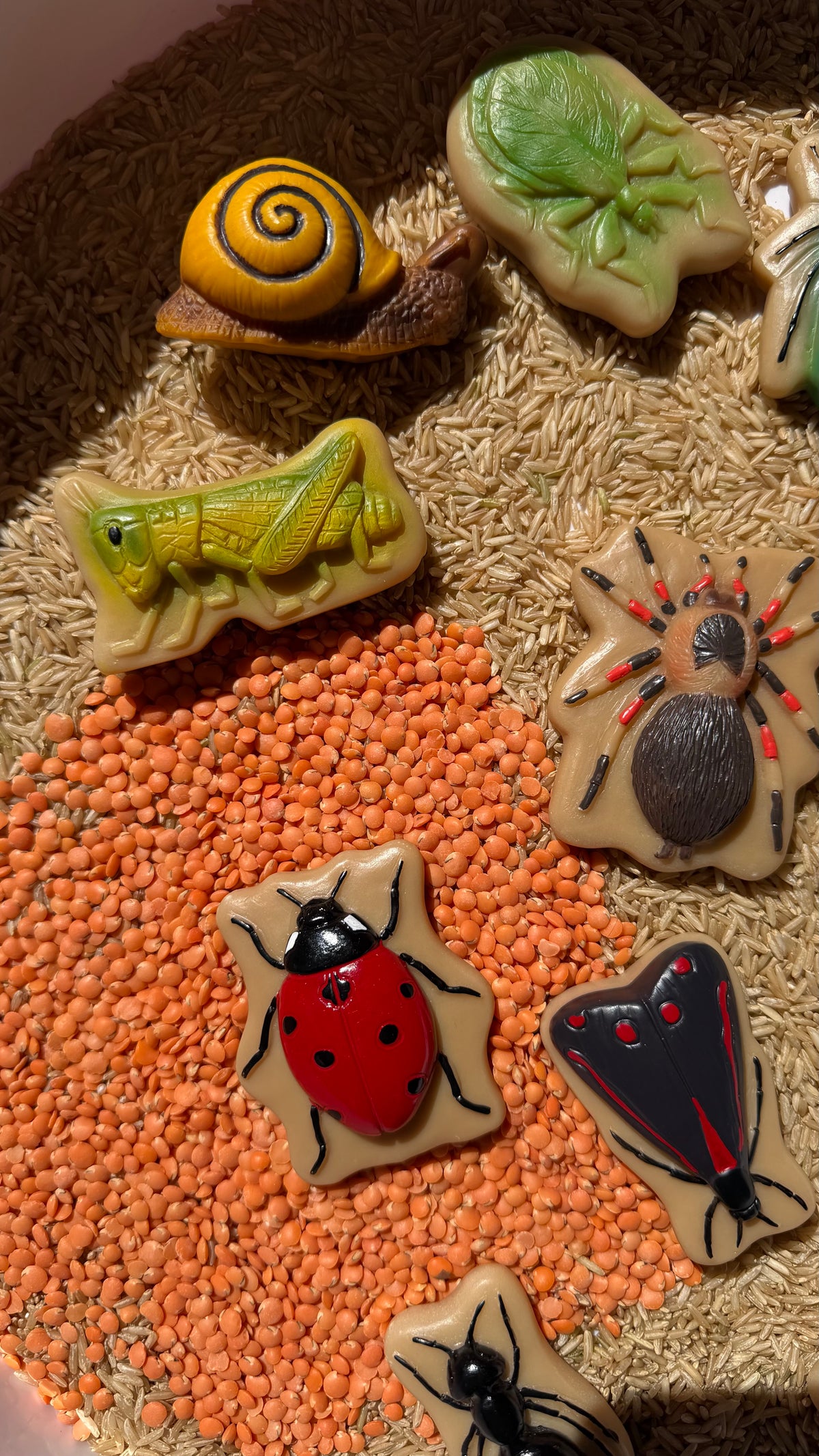 Insekten-Steine Set – 12 Sinnessteine