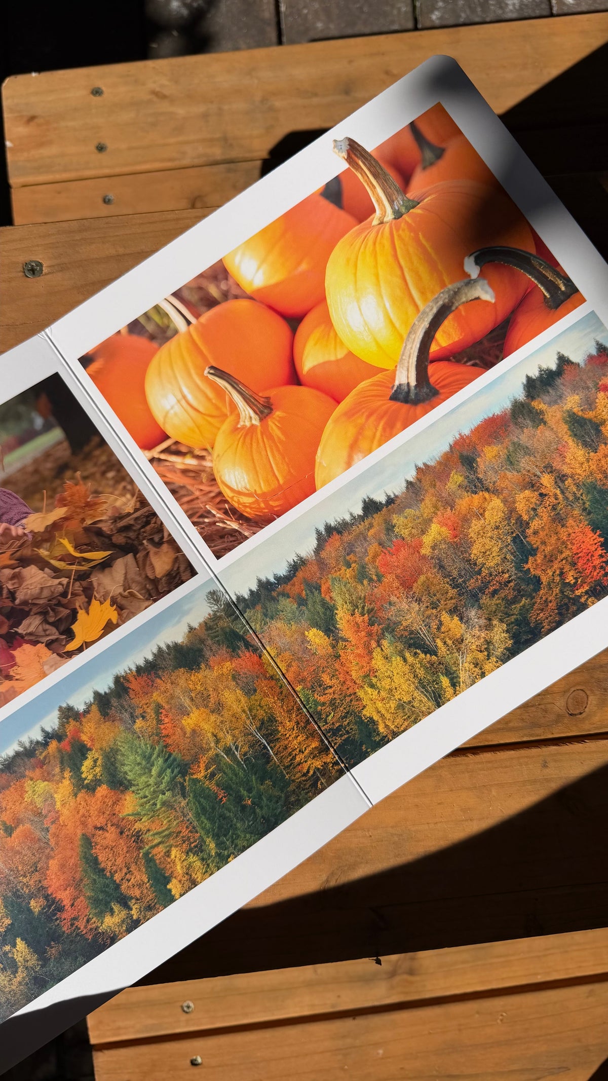 Herbst – Wortloses Bilderbuch
