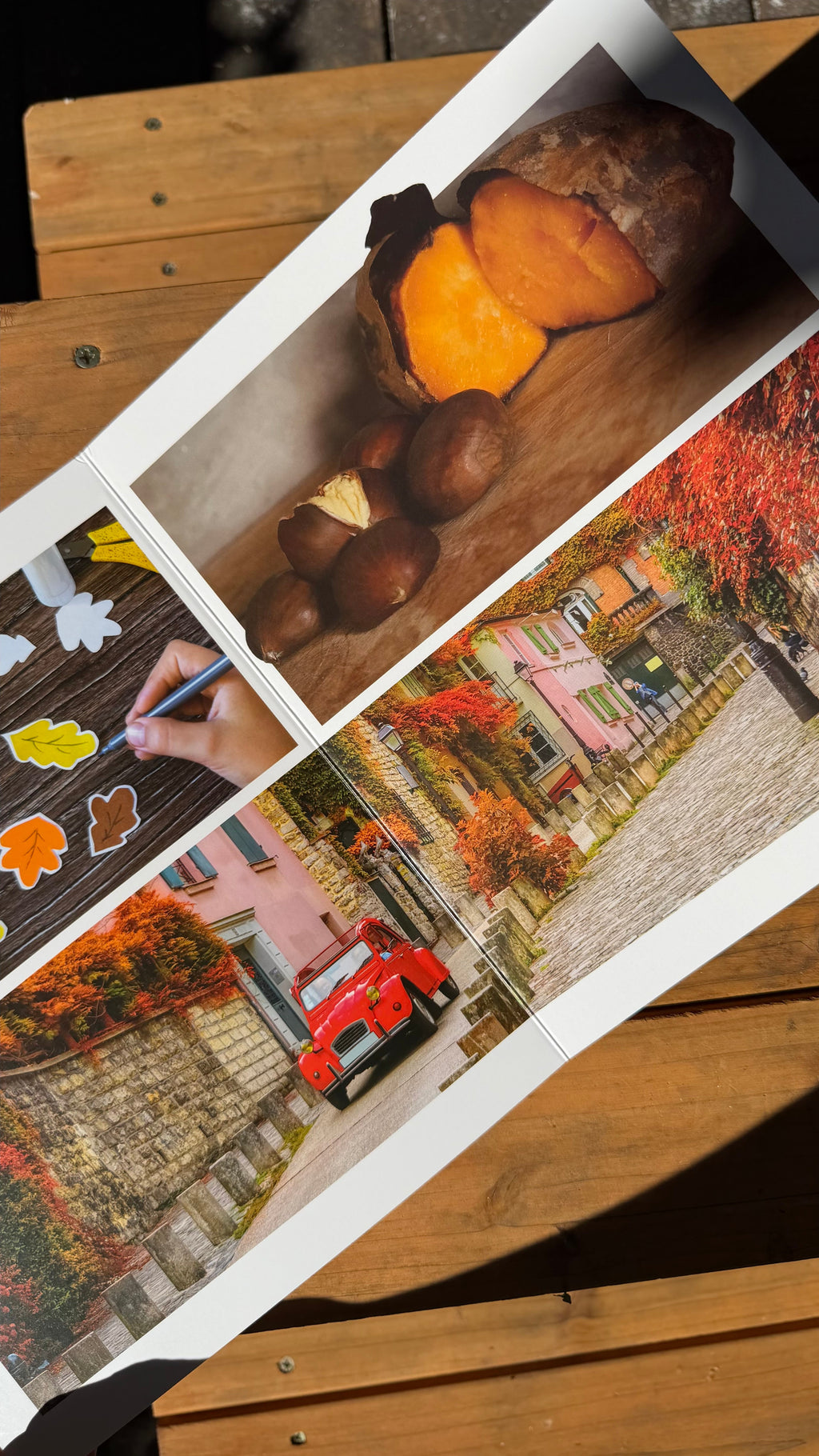 Herbst – Wortloses Bilderbuch