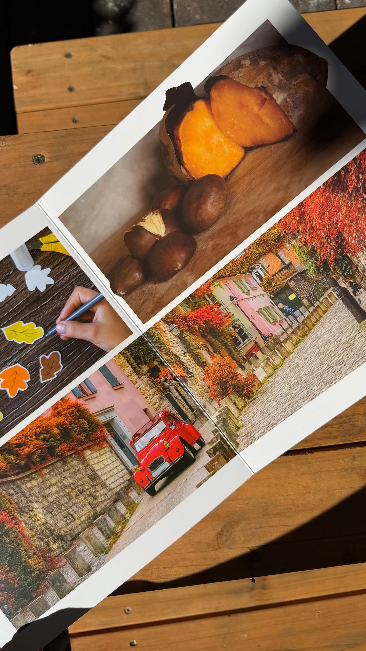 Herbst – Wortloses Bilderbuch
