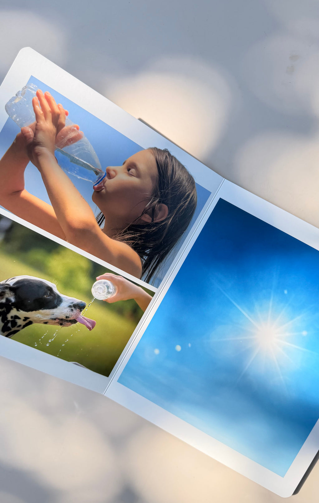 Jahreszeitenbuch: Sommer Wortloses Bilderbuch