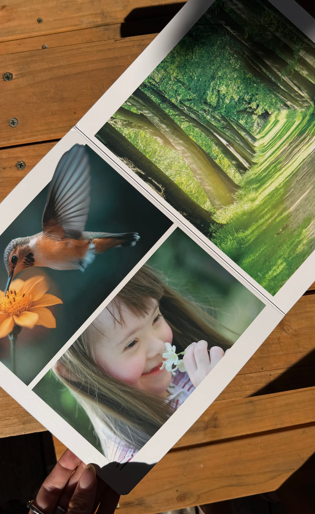 Frühling – Bilderbuch zum Entdecken der Jahreszeit