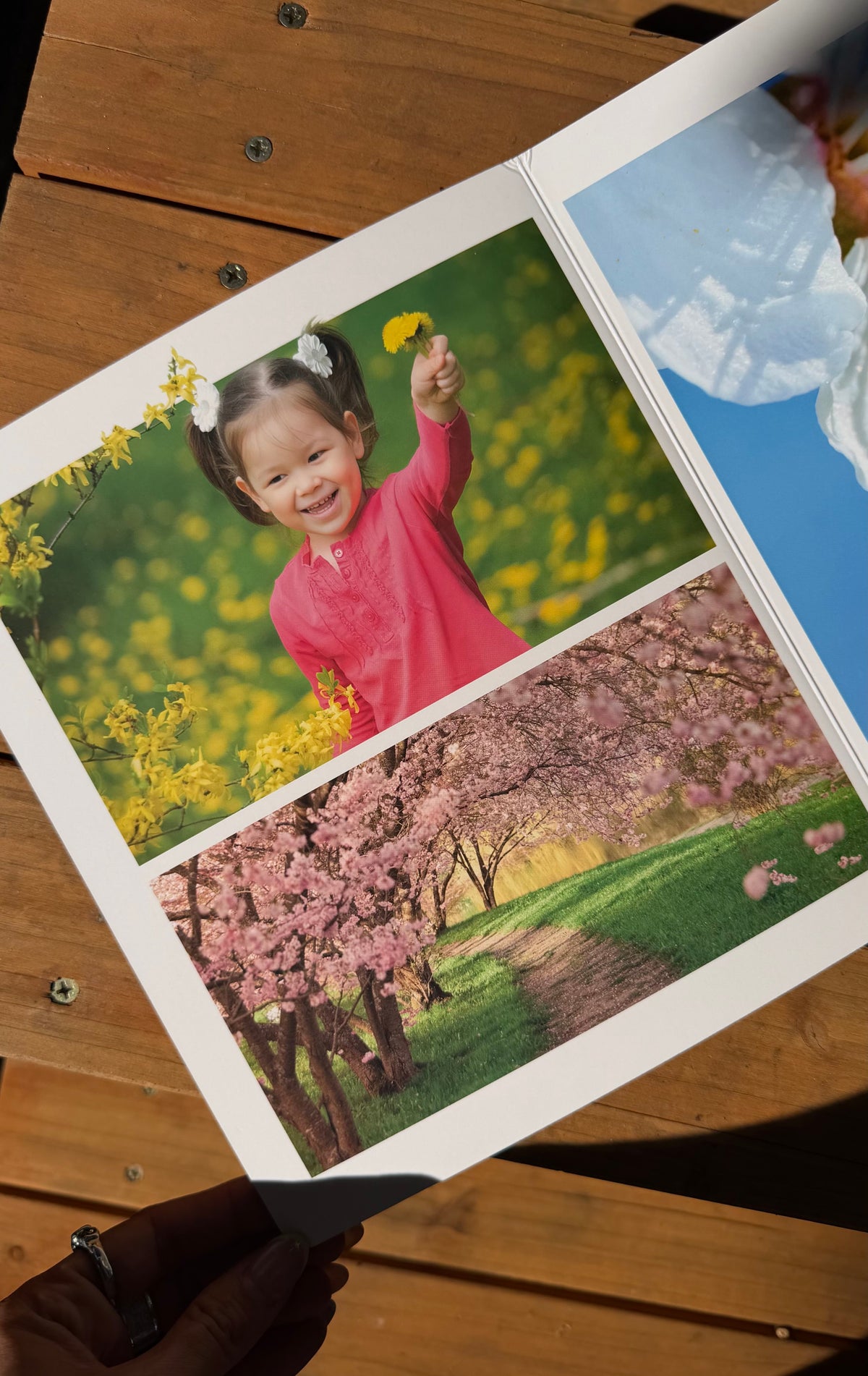 Frühling – Bilderbuch zum Entdecken der Jahreszeit