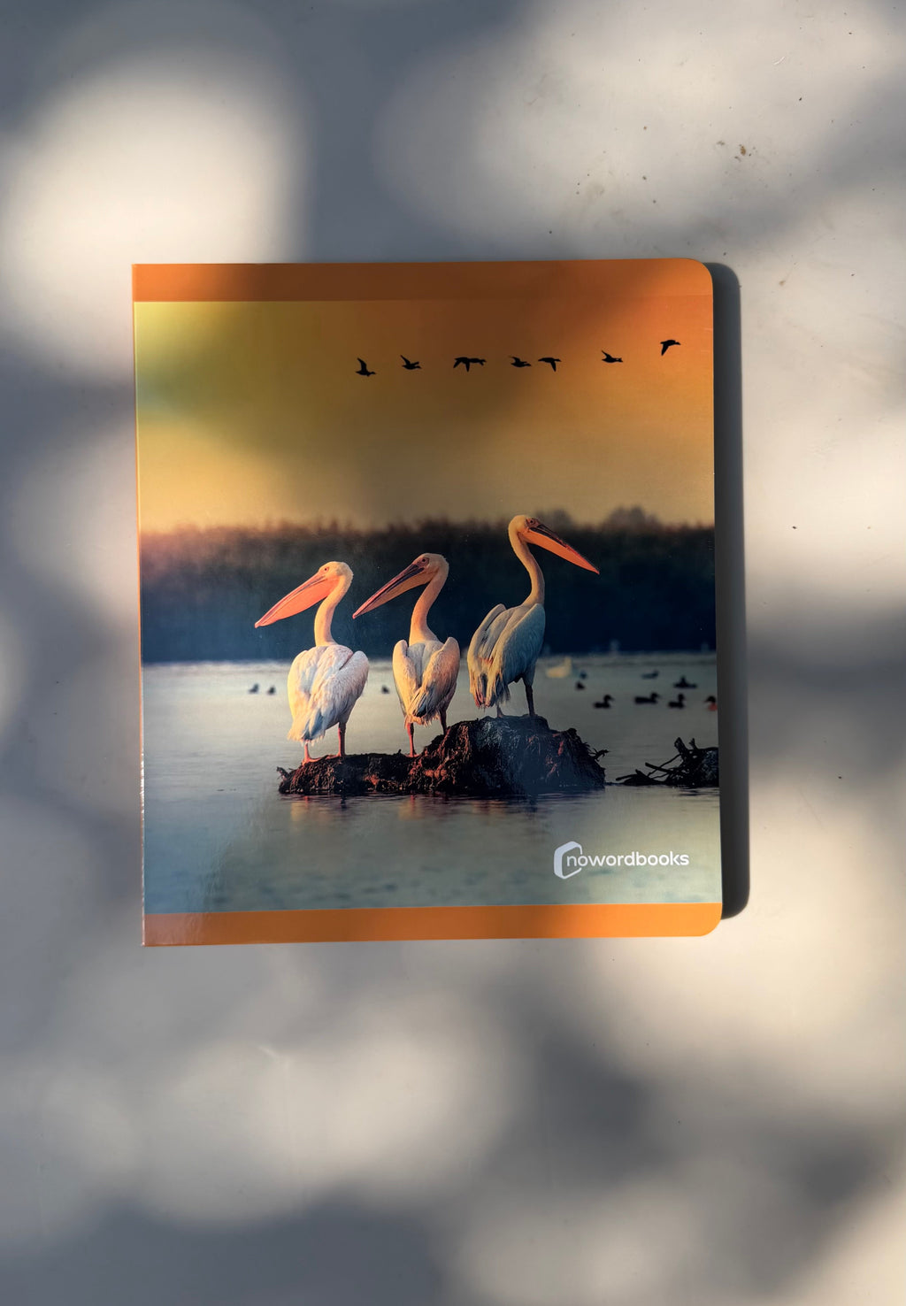 Vögel entdecken – wortloses Fotobuch