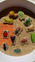 Insekten-Steine Set – 12 Sinnessteine