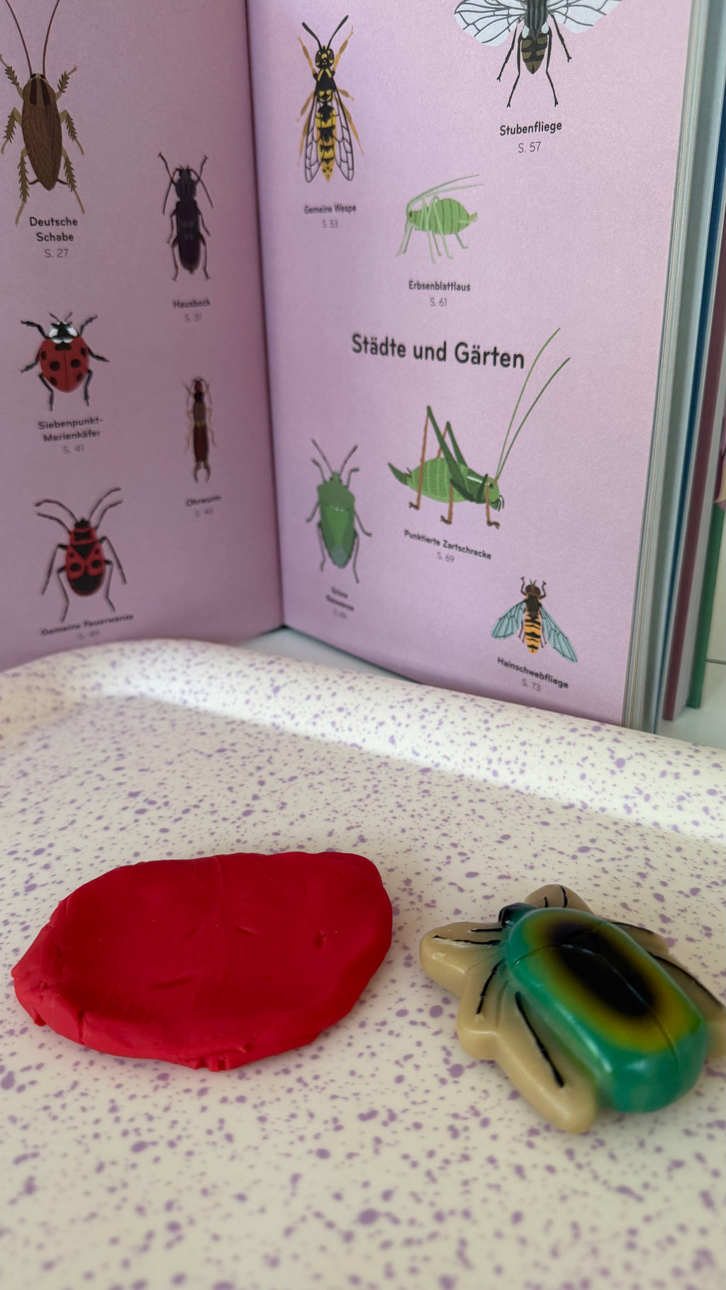 Insekten-Steine Set – 12 Sinnessteine