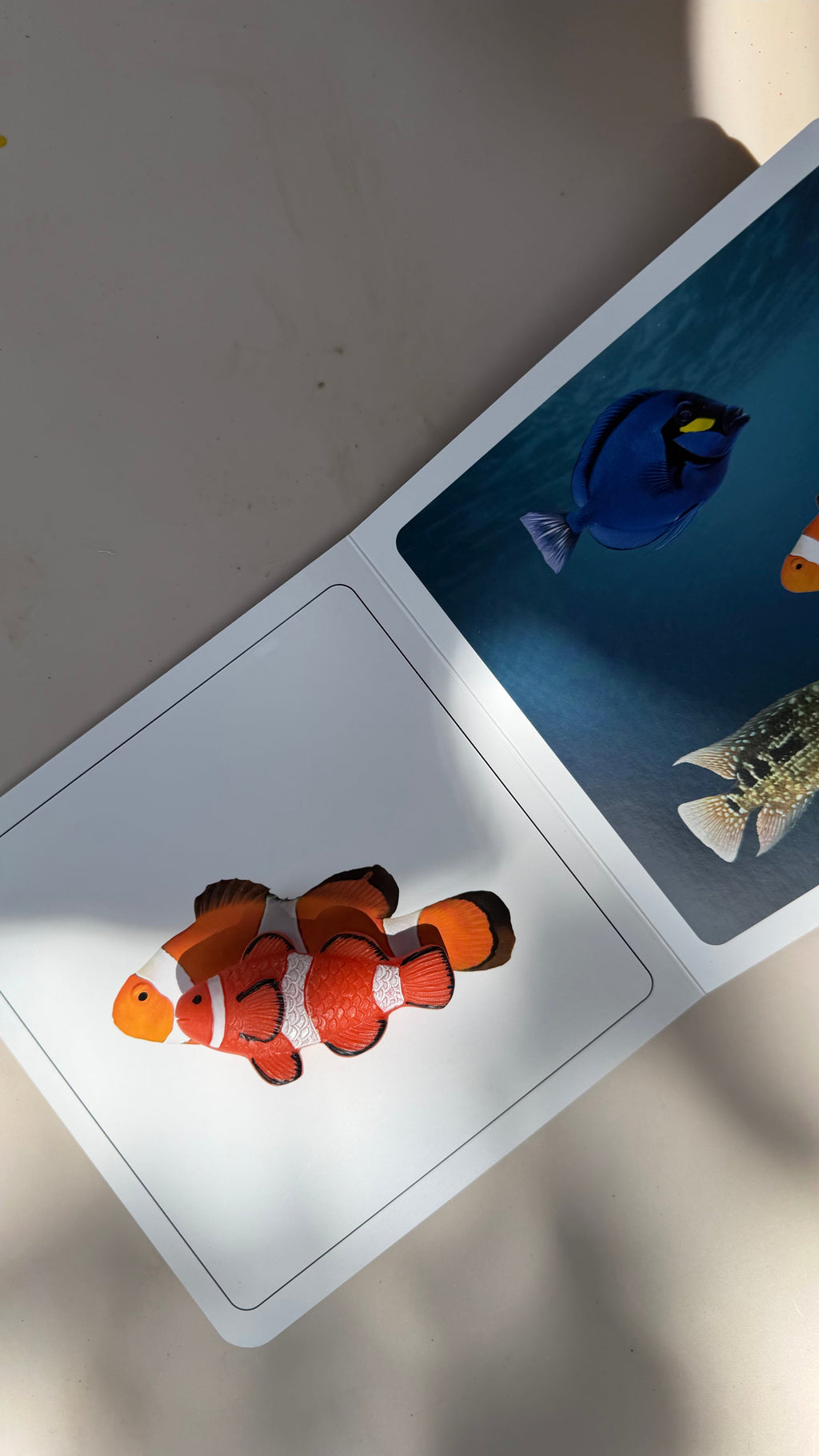 Fische-Set – 8 Sinnessteine