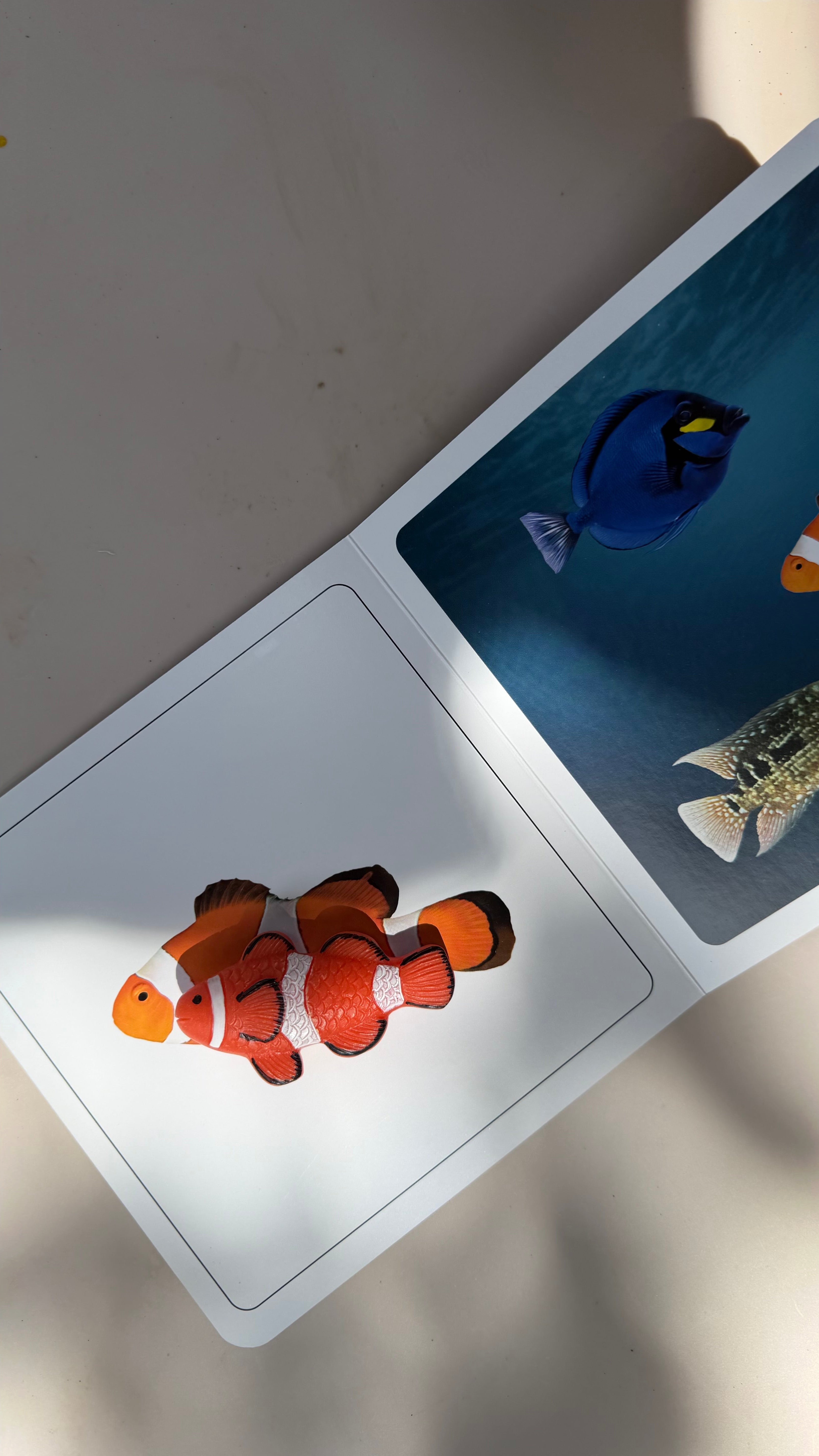 Fische-Set – 8 Sinnessteine