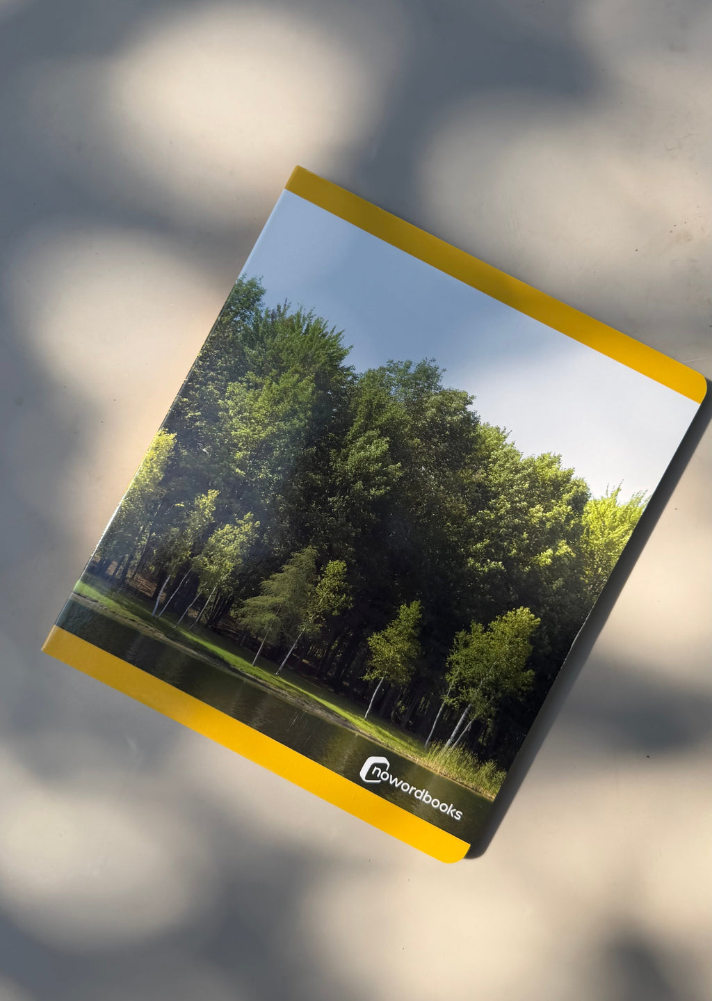 Jahreszeitenbuch: Sommer Wortloses Bilderbuch