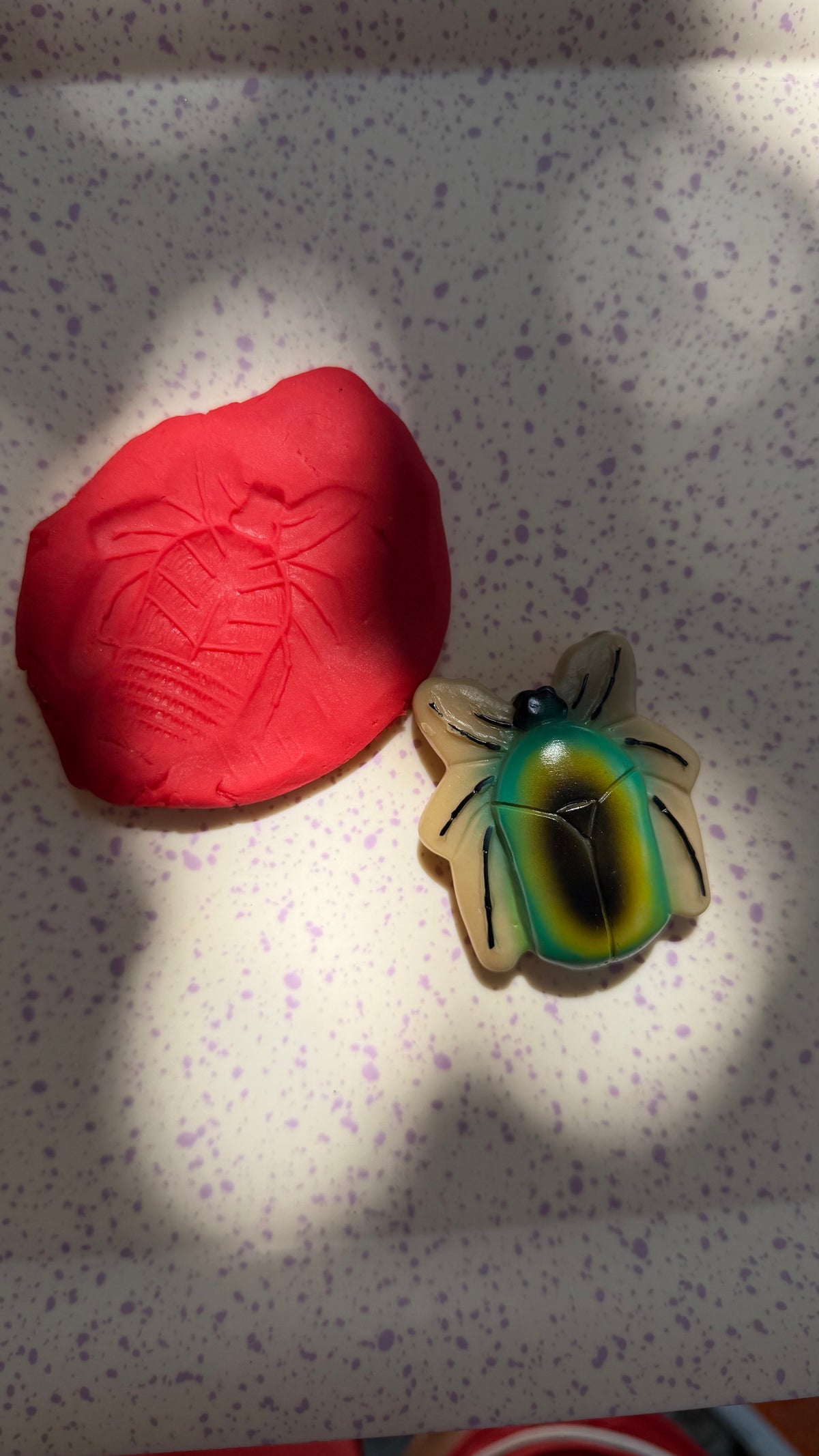 Insekten-Steine Set – 12 Sinnessteine