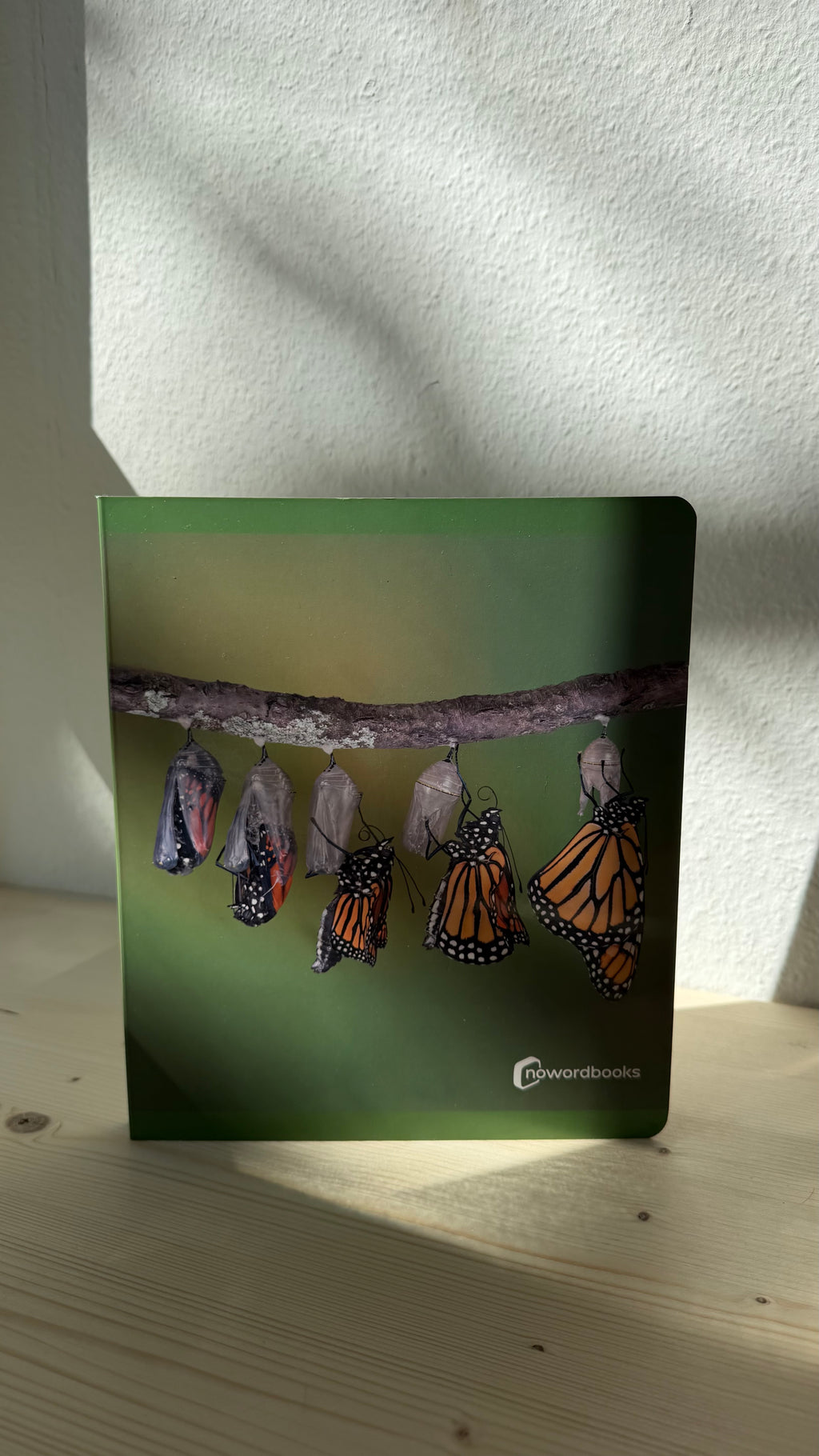 Lebenszyklen verstehen – Bilderbuch für Kinder (z. B. Schmetterling)