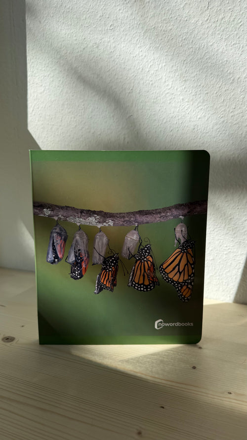 Lebenszyklen verstehen – Bilderbuch für Kinder (z. B. Schmetterling)