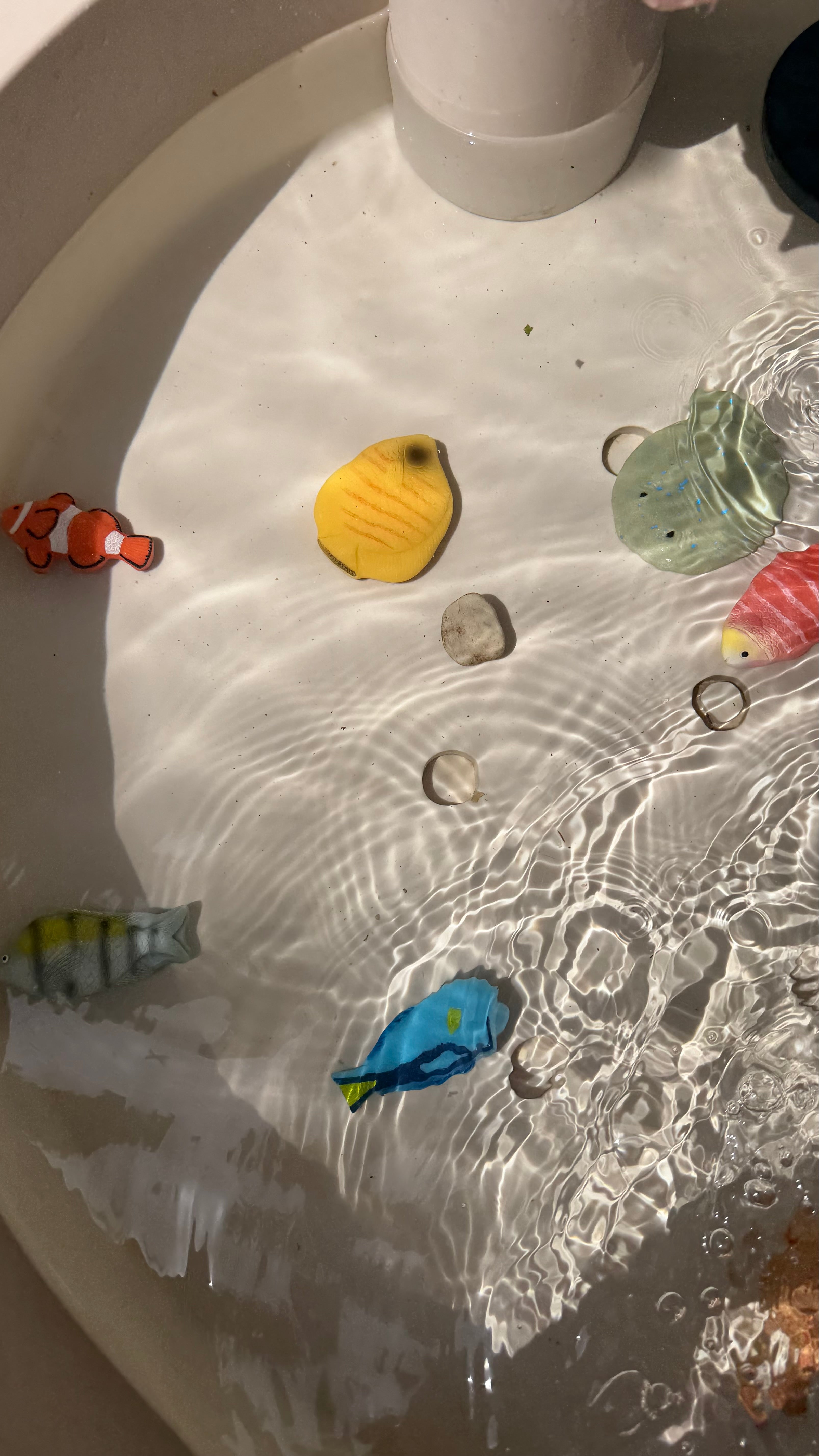 Fische-Set – 8 Sinnessteine