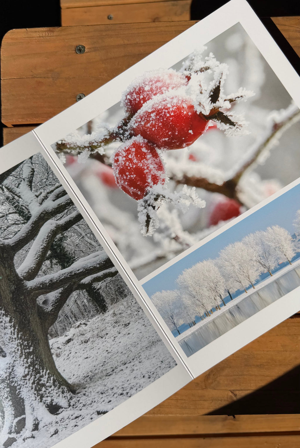 Winter – Bilderbuch zum Entdecken der Jahreszeit