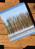 Winter – Bilderbuch zum Entdecken der Jahreszeit